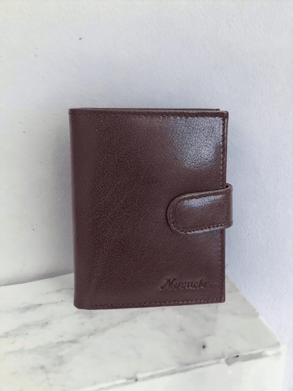 Pánska hnedá kožená peňaženka MERCUCIO M3-11453